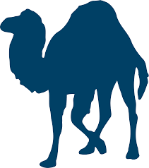 PERL logo